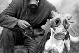 soldier and dog both wearing gas masks