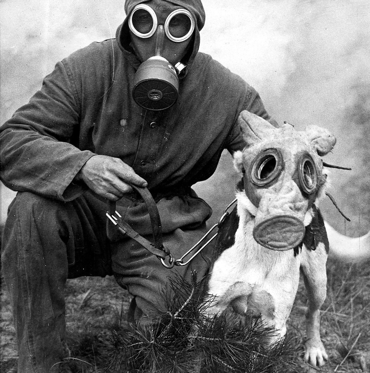 soldier and dog both wearing gas masks