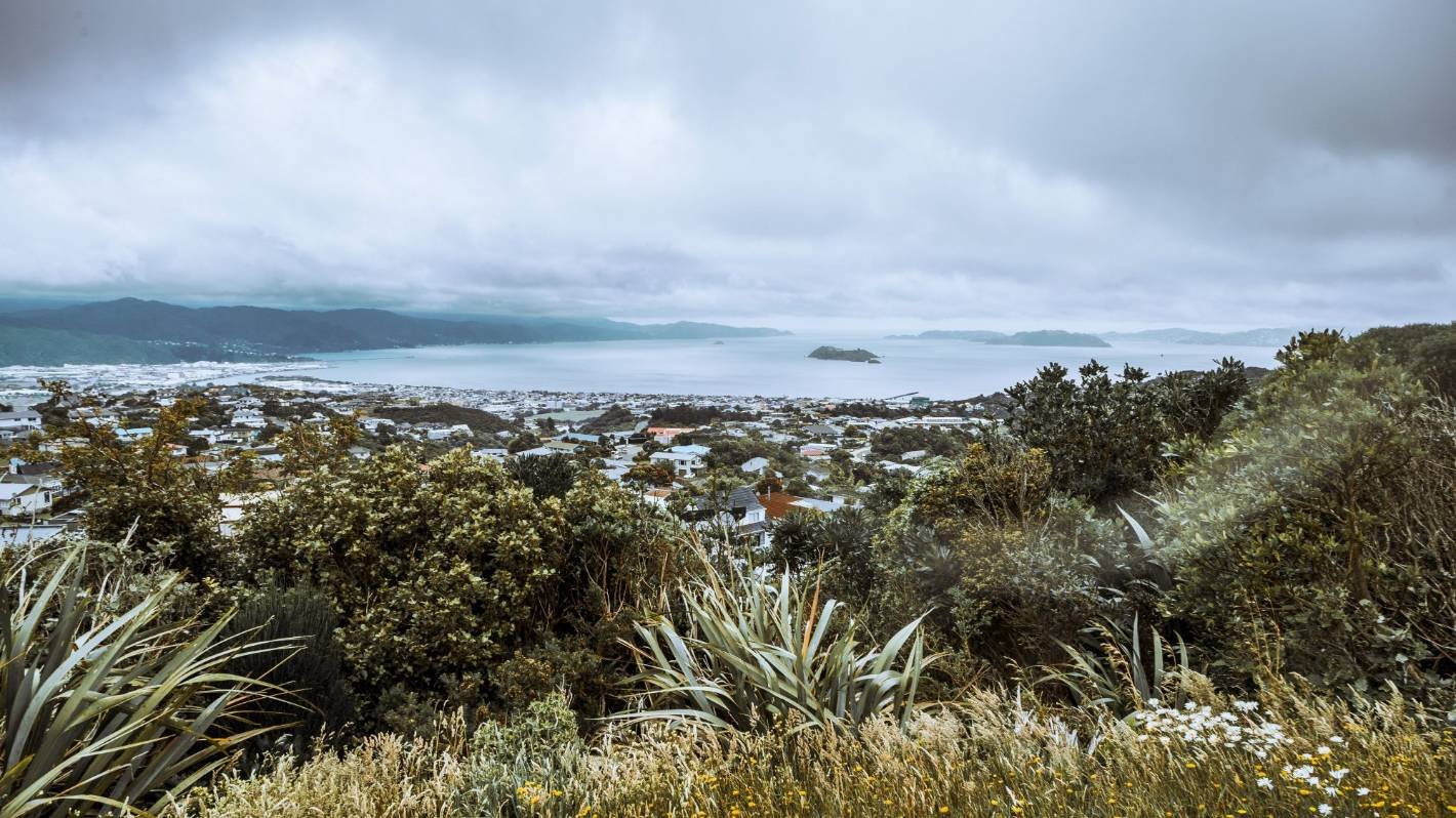 Covid-19: One new Wellington case, Hutt Valley case confirmed to be Omicron