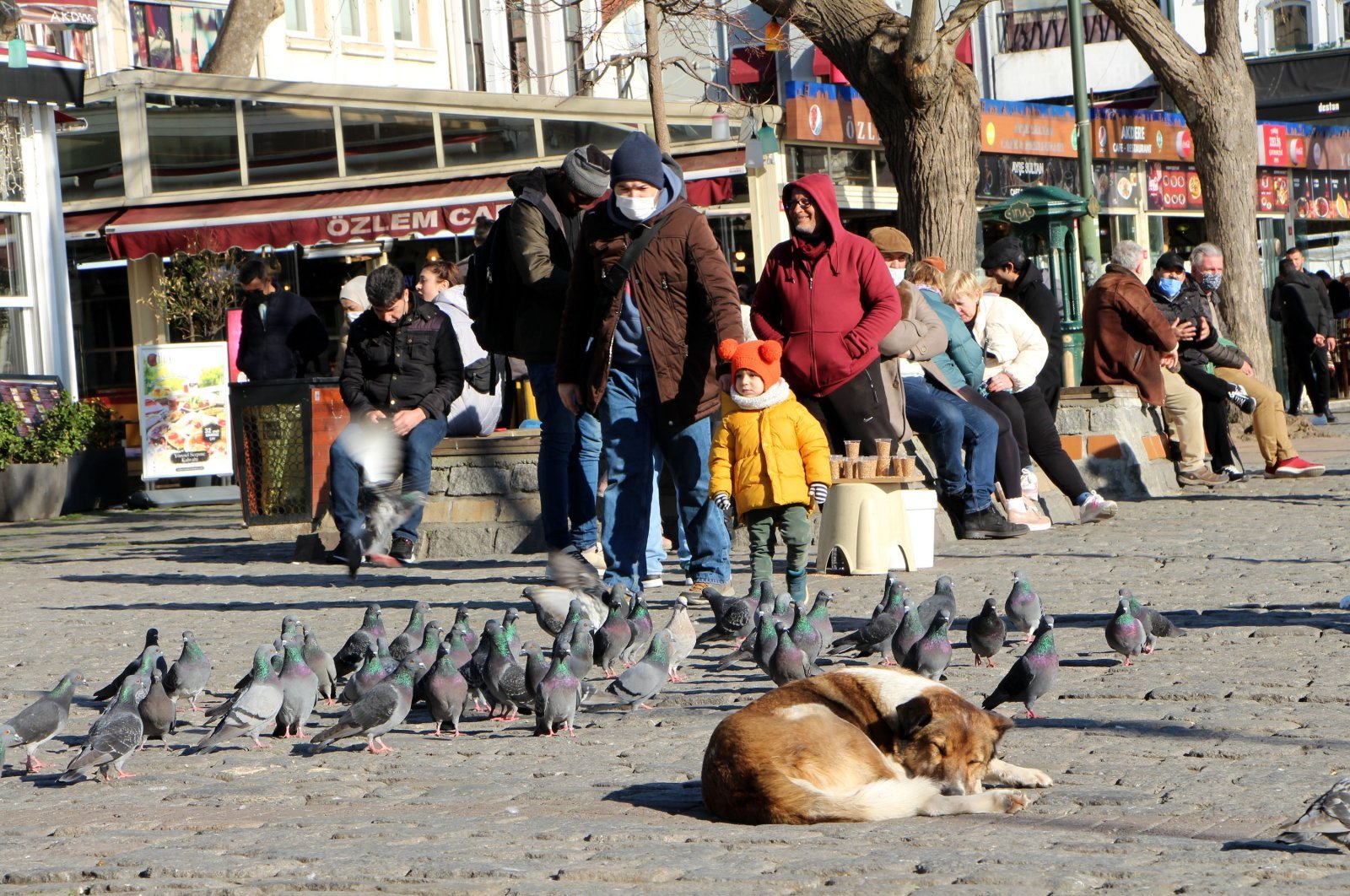 Turkey scraps PCR tests for unvaccinated as COVID-19 cases fall