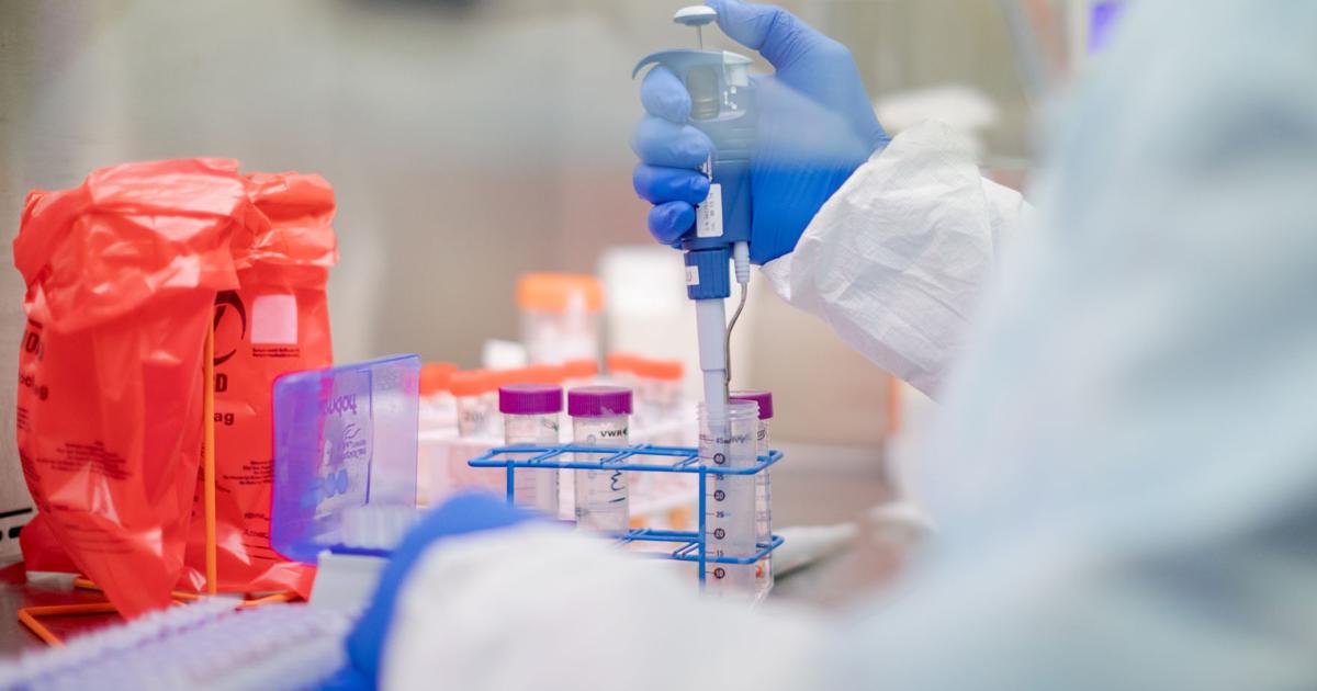 Pennsylvania surpasses 40,000 COVID-19 deaths | Coronavirus