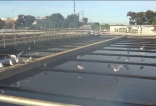 Bay Area Scientists Test Wastewater to Detect Omicron – NBC Bay Area
