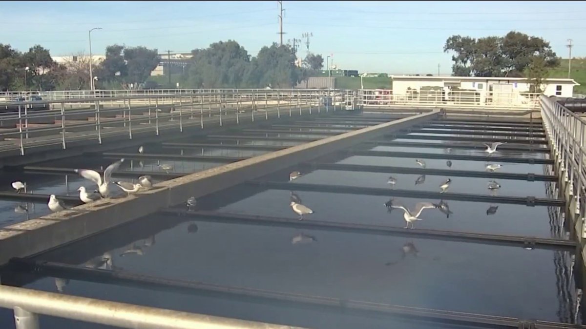 Bay Area Scientists Test Wastewater to Detect Omicron – NBC Bay Area
