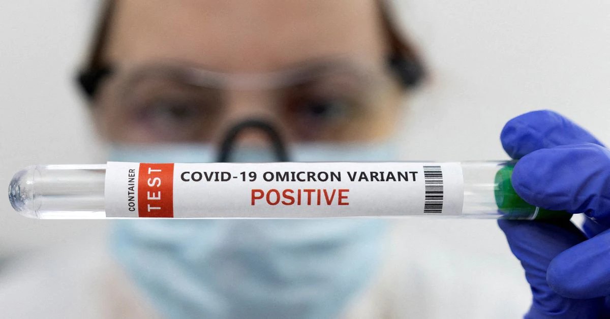 Omicron survives longer on plastic, skin than prior variants; nose swabbing found best for rapid tests