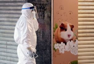 COVID-19 live updates: City to cull 2,000 small animals after hamsters test positive