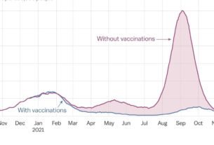 Two charts show the extraordinary success of Covid-19 vaccines