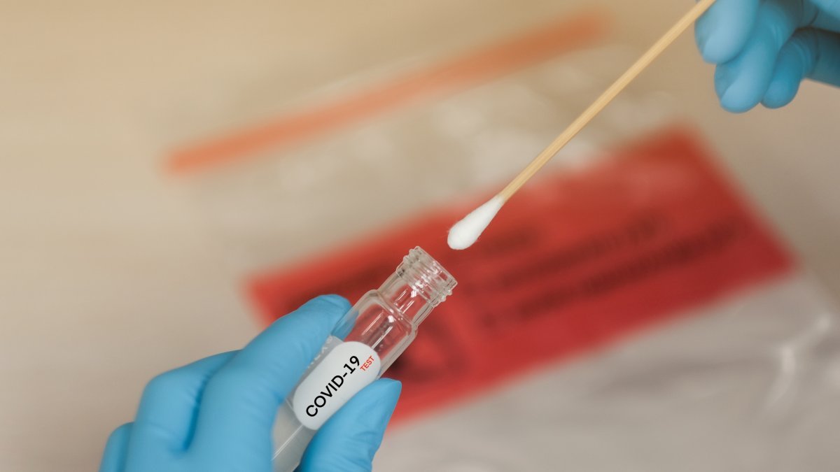 Connecticut COVID-19 Positivity Rate Down to 17%, Hospitalizations Drop – NBC Connecticut